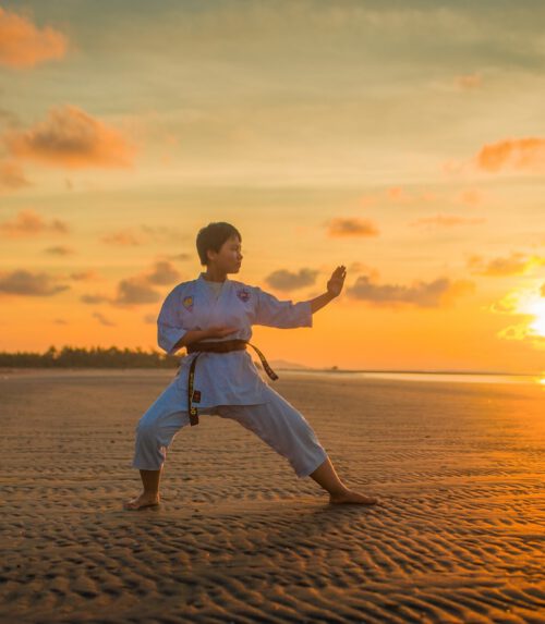 Wing Chun dövüş sanatı pratiği